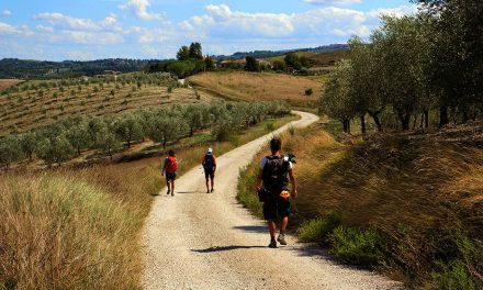 Pilgrimsfärd längs franciskusleden