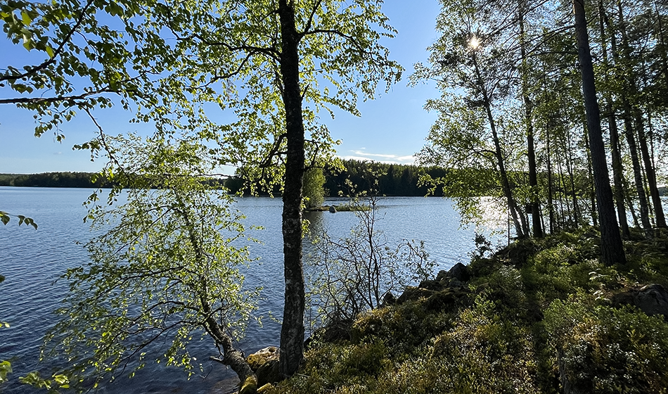 Onko kesä kaikille suloinen?