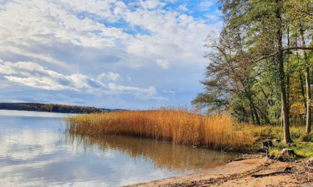 Kesäloma lähestyy – lastenleiri